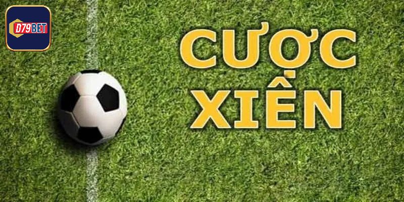 Chiến thuật chơi kèo xiên thua trận đạt lợi nhuận cao