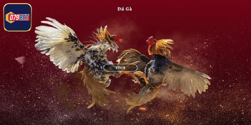 Mẹo Chơi Đá Gà Trực Tuyến Luôn Thắng Bất Bại Cho Hội Viên